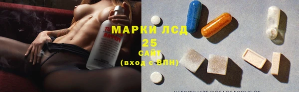 шишки Аркадак