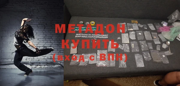 прущие грибы Рославль